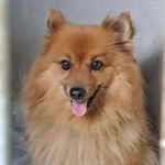 7bfb1a7b-8d56-4dea-bb4b-f24b447db79aManu