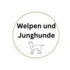 Rubrik Welpen und Junghunde